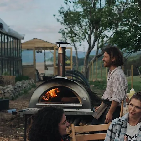 Polarhagen Vestvagoy