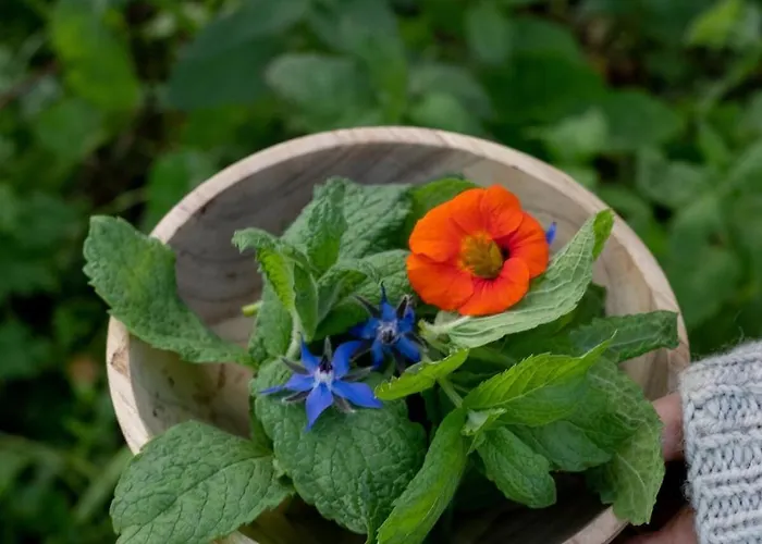 Polarhagen Lantgård *