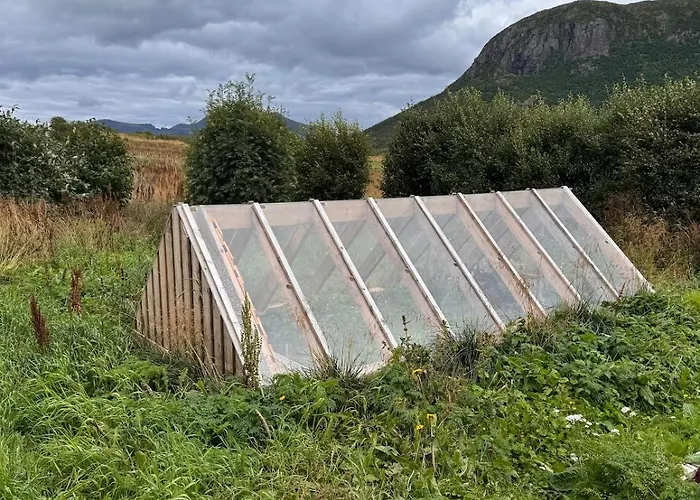 Lantgård Polarhagen Vestvagoy